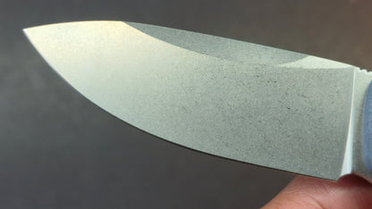 Petrified Fish Terra Folding Knife Blue G10 Handle D2