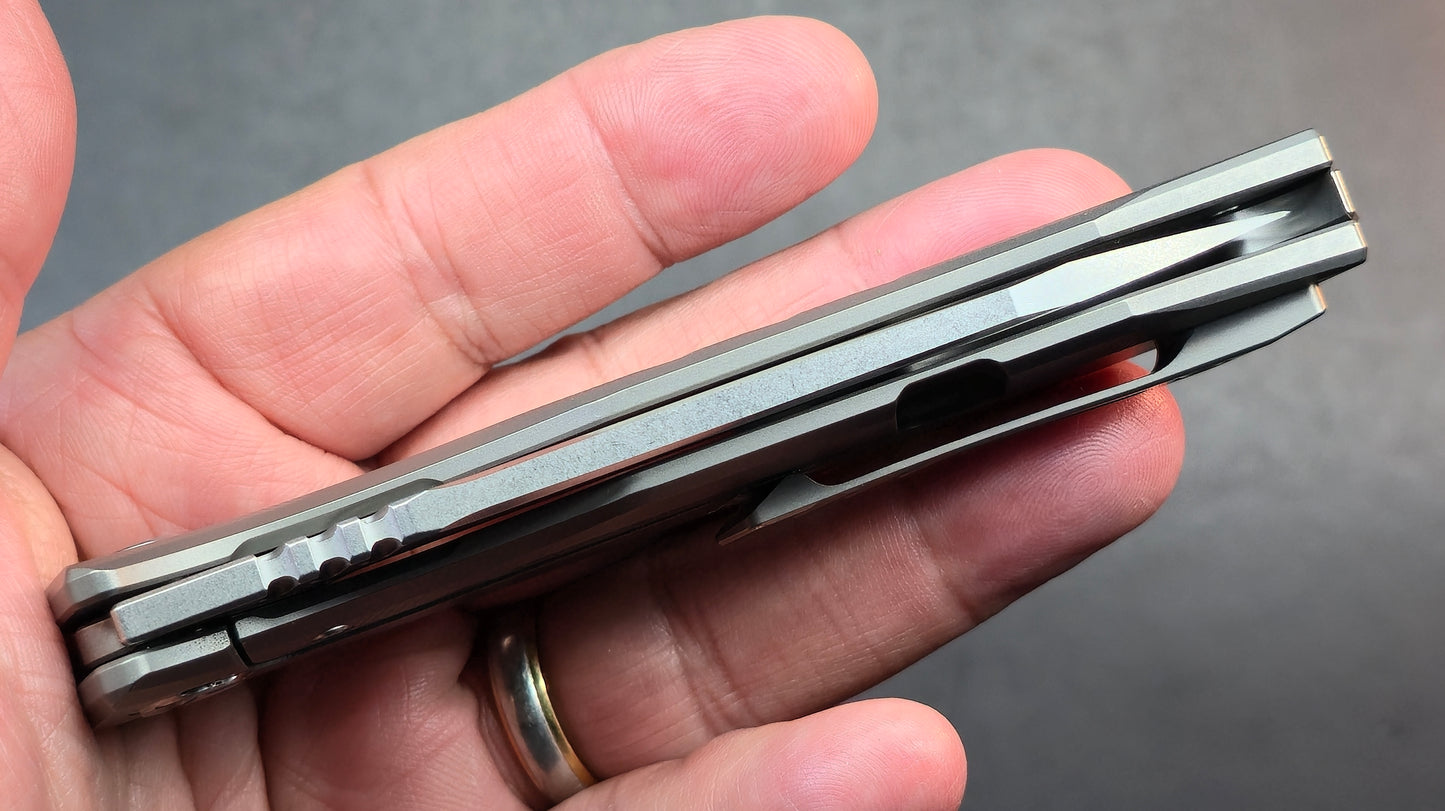 TWOSUN TS292 TITANIUM HANDLE 14C28N Blade