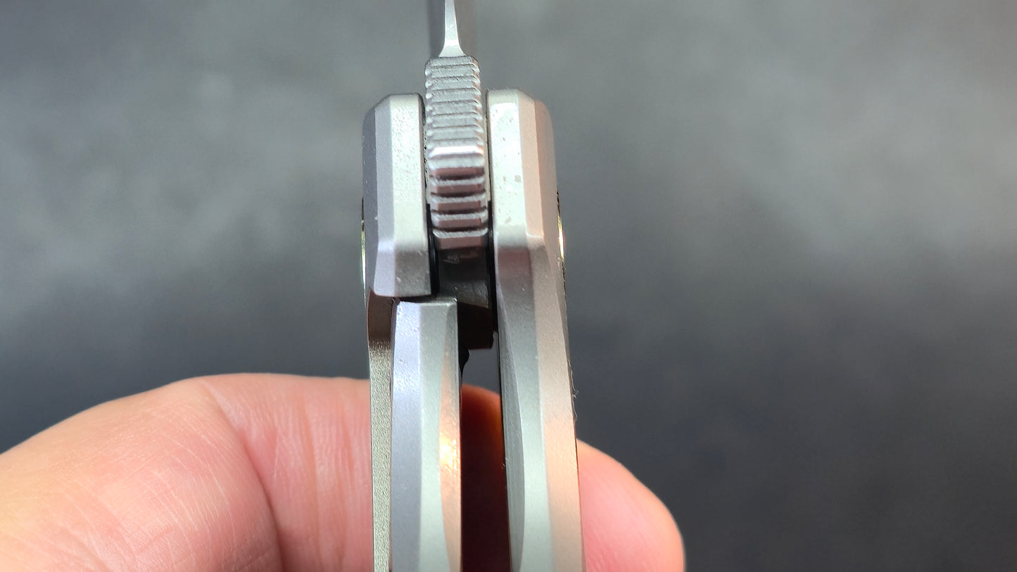 TwoSun TS584 Titanium/Carbon Fiber Handle 14C28N Plain Edge