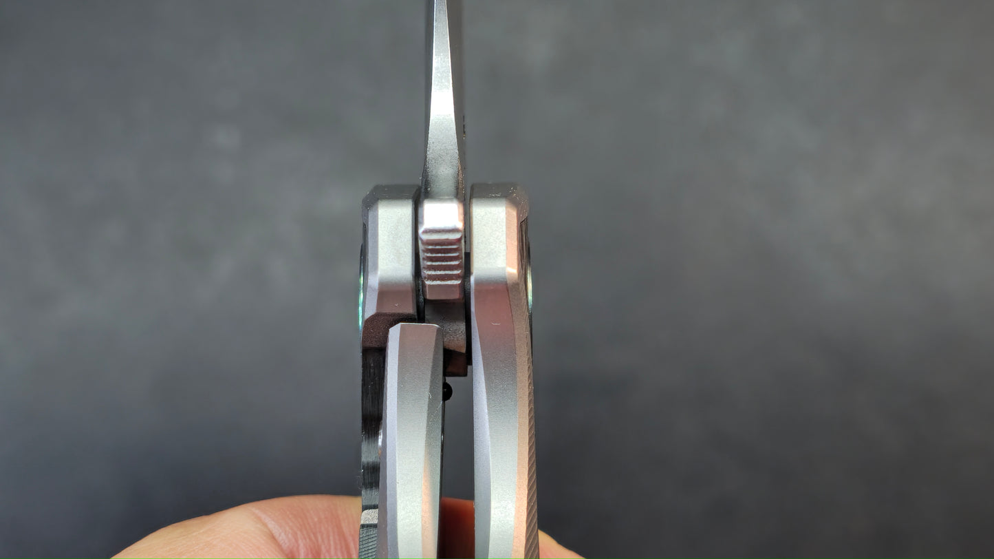 TwoSun TS591 Titanium/Carbon Fiber Handle 14C28N Plain Edge