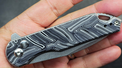 Kizer Assassin Dimascus G10 154CM