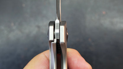 Kizer Serpentine Titanium/Carbon Fiber Handle Elmax Blade