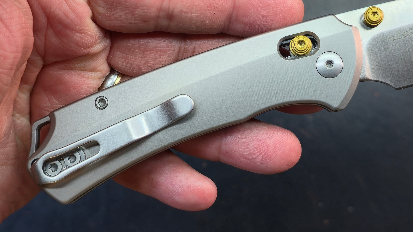 Kizer T1 CD Silver Titanium Handle M390