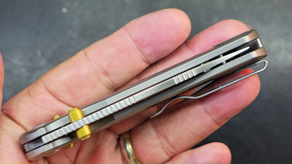 Kizer T1 CD Silver Titanium Handle M390