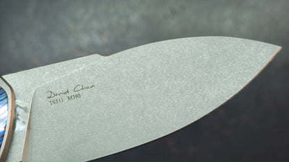TwoSun TS511 Titanium / Timascus M390