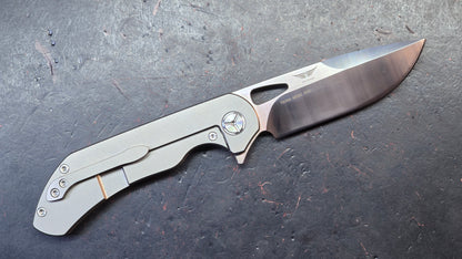 TWOSUN TS384 Titanium Handle M390 Blade