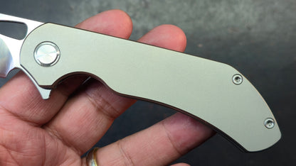 TWOSUN TS384 Titanium Handle M390 Blade