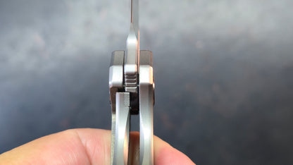 TWOSUN TS384 Titanium Handle M390 Blade