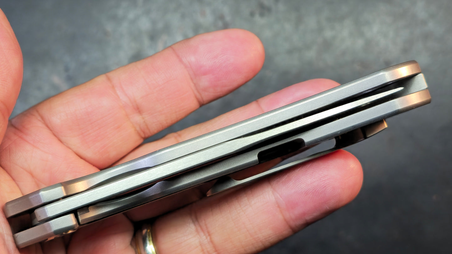TWOSUN TS384 Titanium Handle M390 Blade