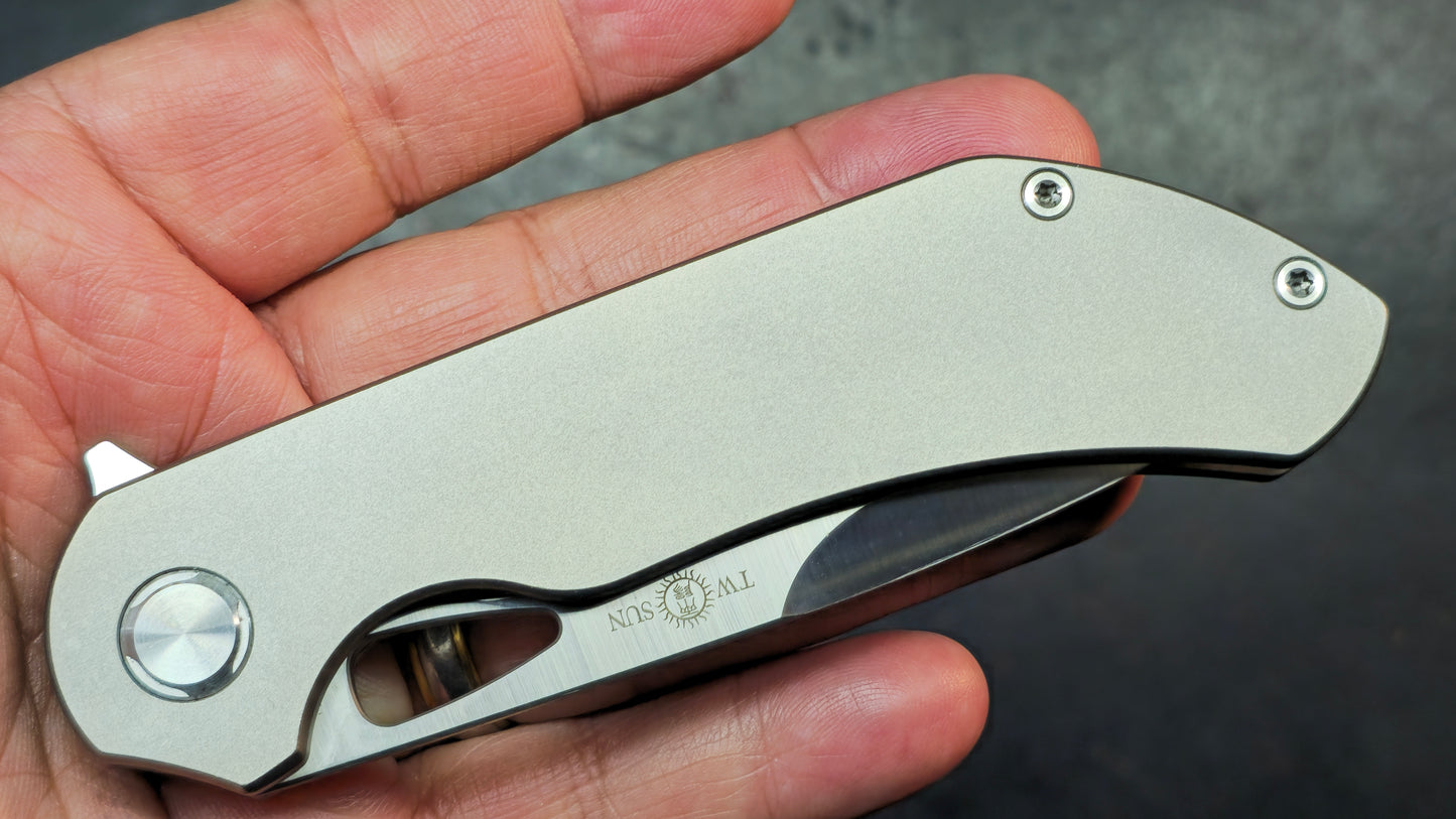 TWOSUN TS384 Titanium Handle M390 Blade