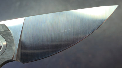 TWOSUN TS243 Titanium / Carbon Fiber Handle 14C28N Blade