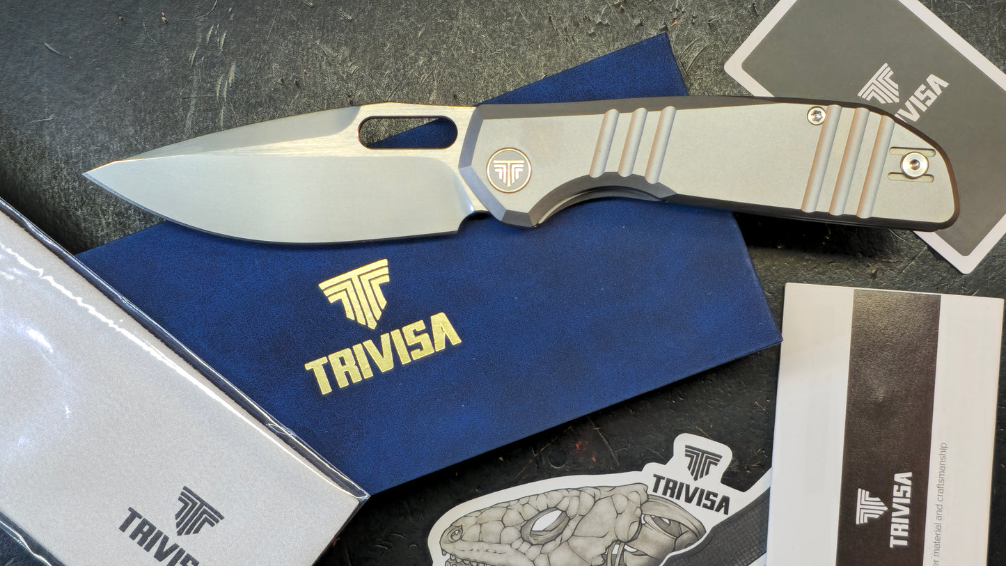 Trivisa Knives Gecko-P Liner Lock Titanium Handle Pearl Satin M390 Blade