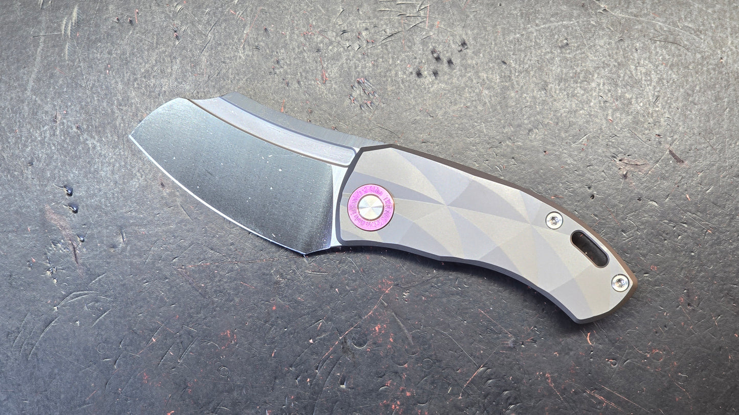 TWOSUN TS354 Titanium Handle D2 Blade
