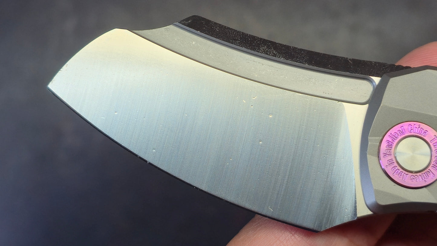 TWOSUN TS354 Titanium Handle D2 Blade