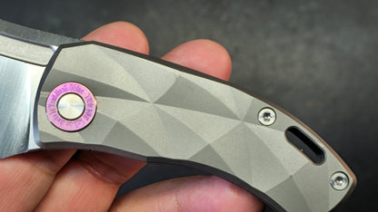 TWOSUN TS354 Titanium Handle D2 Blade