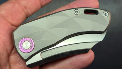TWOSUN TS354 Titanium Handle D2 Blade
