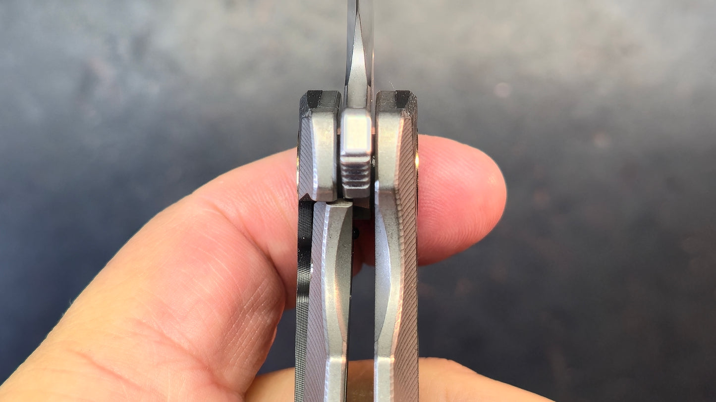 TwoSun TS528 Carbon Fiber / Titanium Handle 14C28N Blade