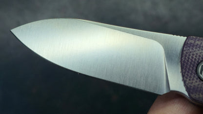 Petrified Fish Flavorist Purple Micarta Handle K110 Blade