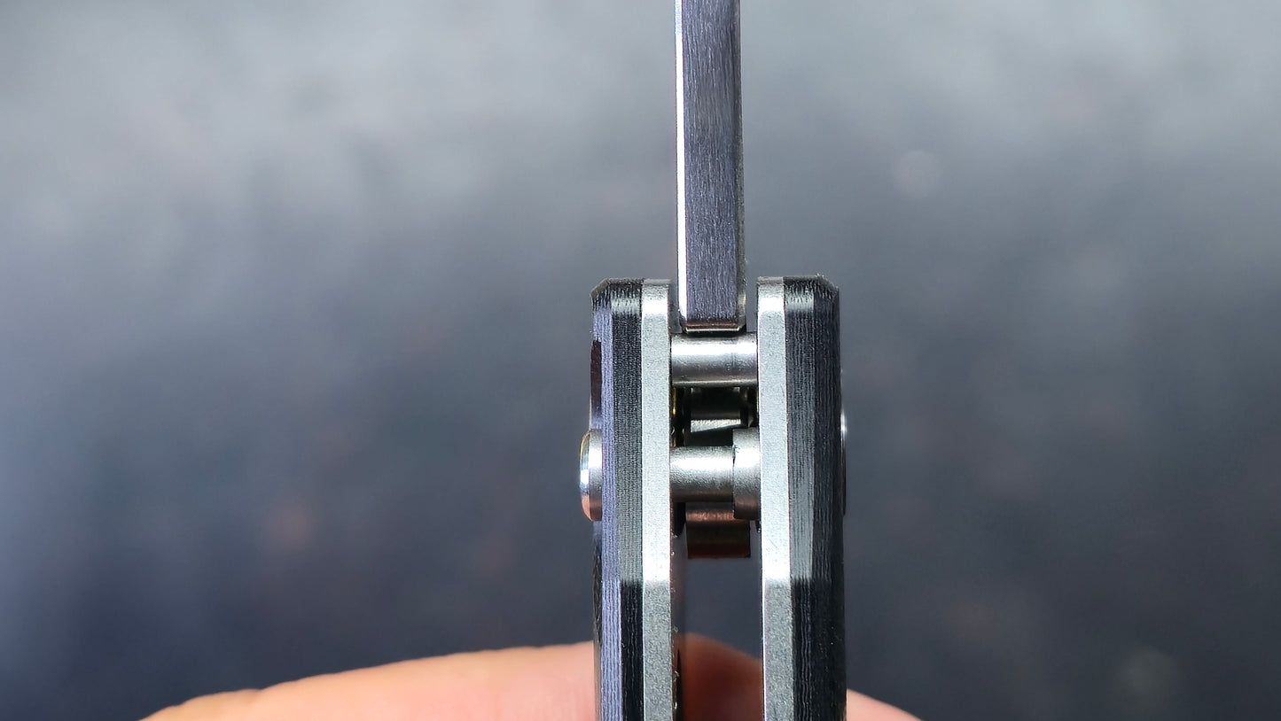 Petrified Fish Twigshark Button Lock G-10 Handle K110 Blade