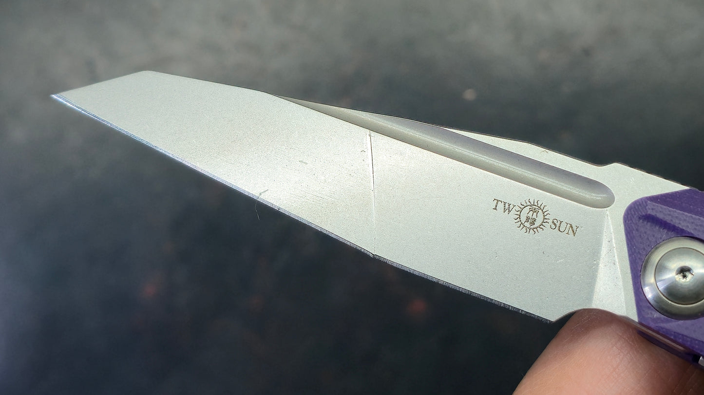 TWOSUN TS218 Purple G10 Handle N690 Blade