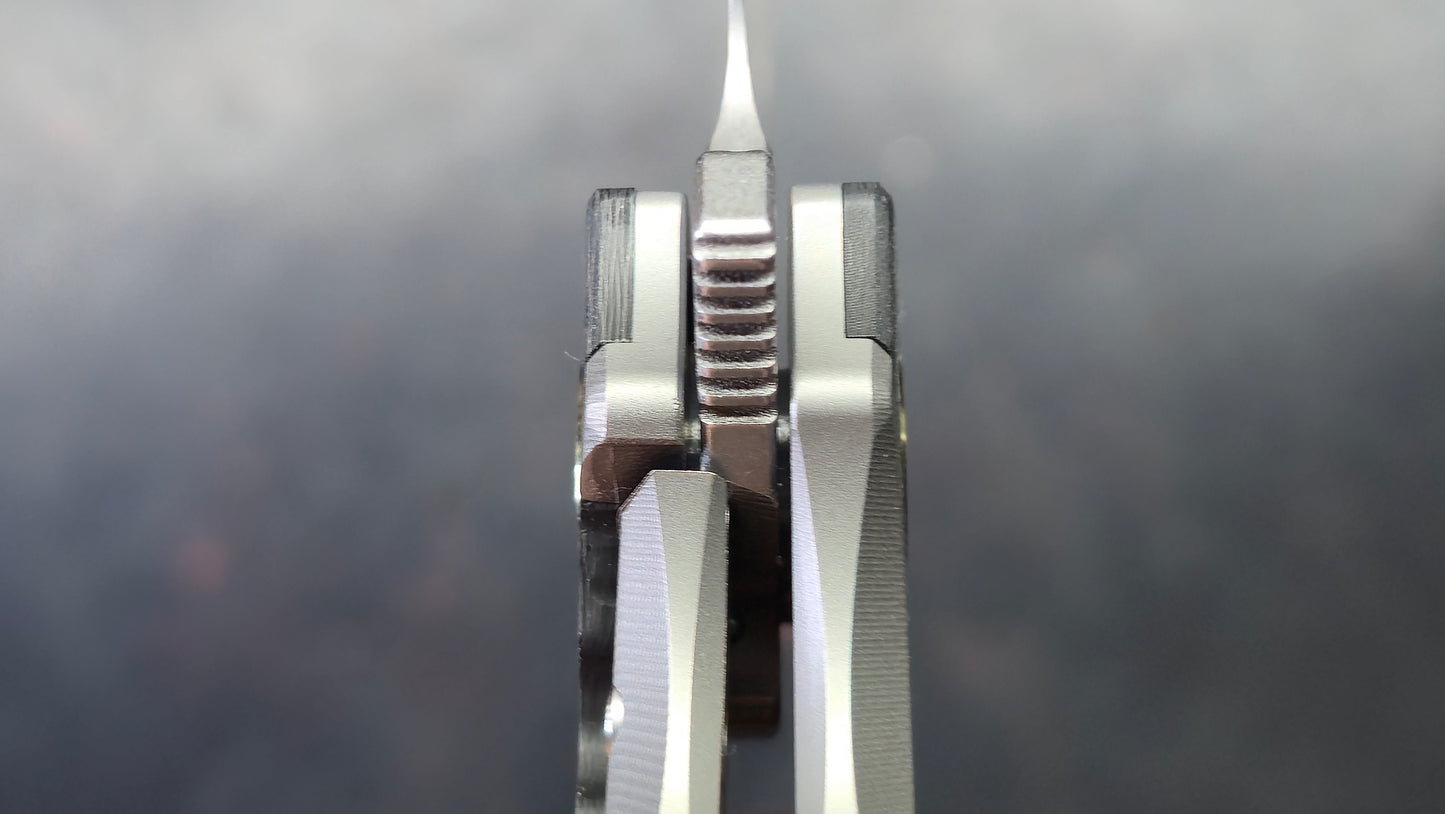 TWOSUN TS530 Titanium/Carbon Fiber Handle 14C28N Blade