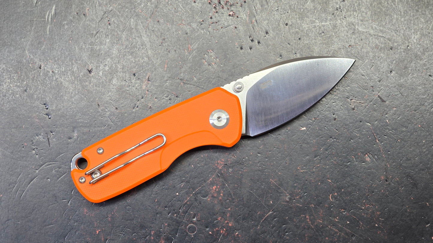 GANZO FH925 Button Lock G10 Handle D2 Blade