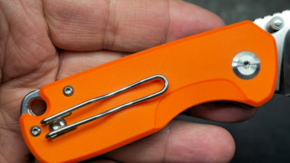 GANZO FH925 Button Lock G10 Handle D2 Blade