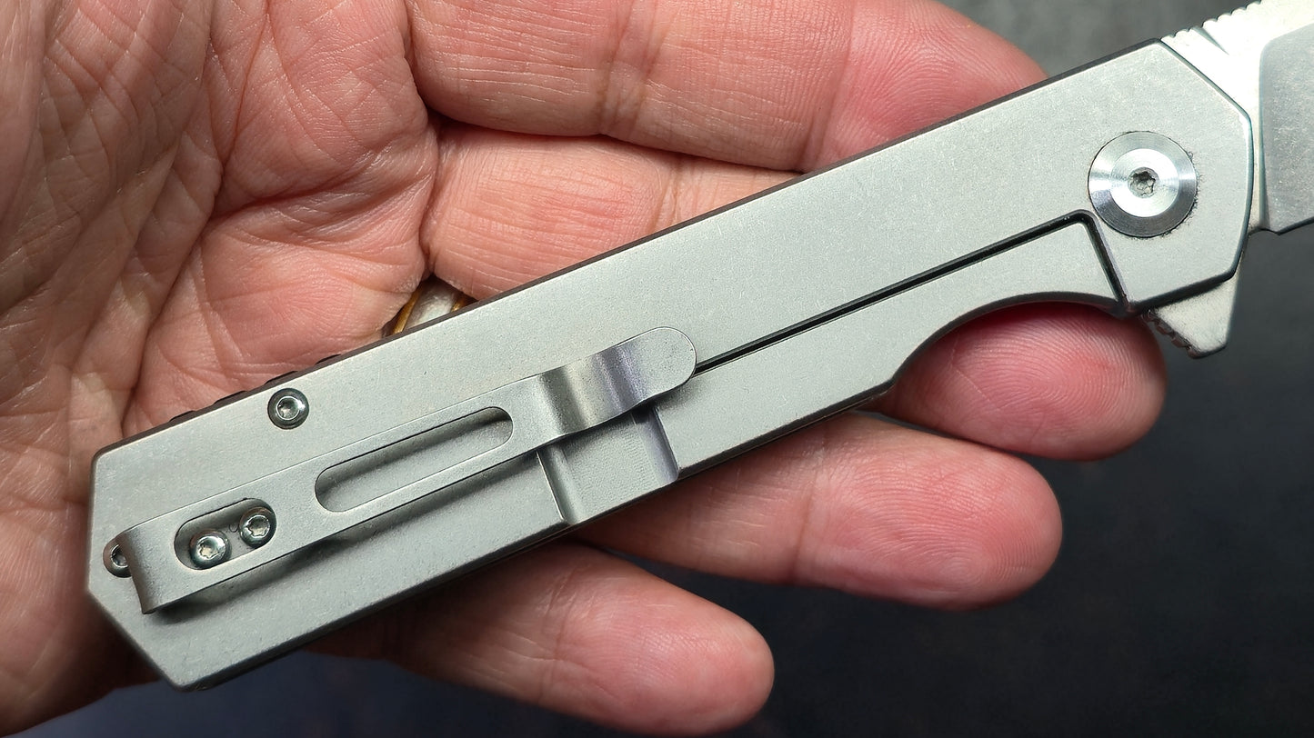 Ganzo FH12SS Firebird SS Handles D2 Blade