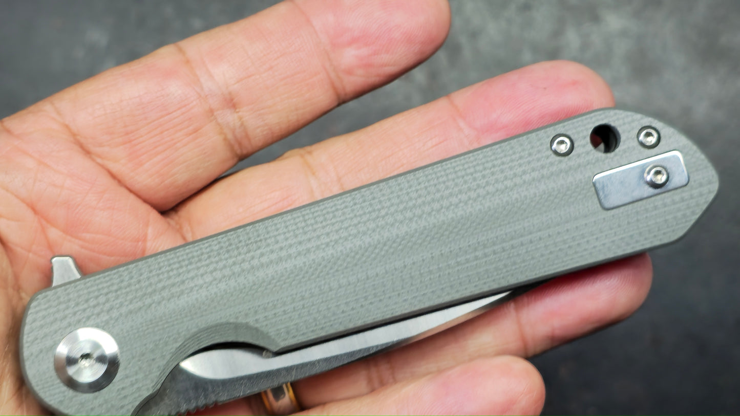 GANZO Firebird FH41 G10 Handle D2 Blade