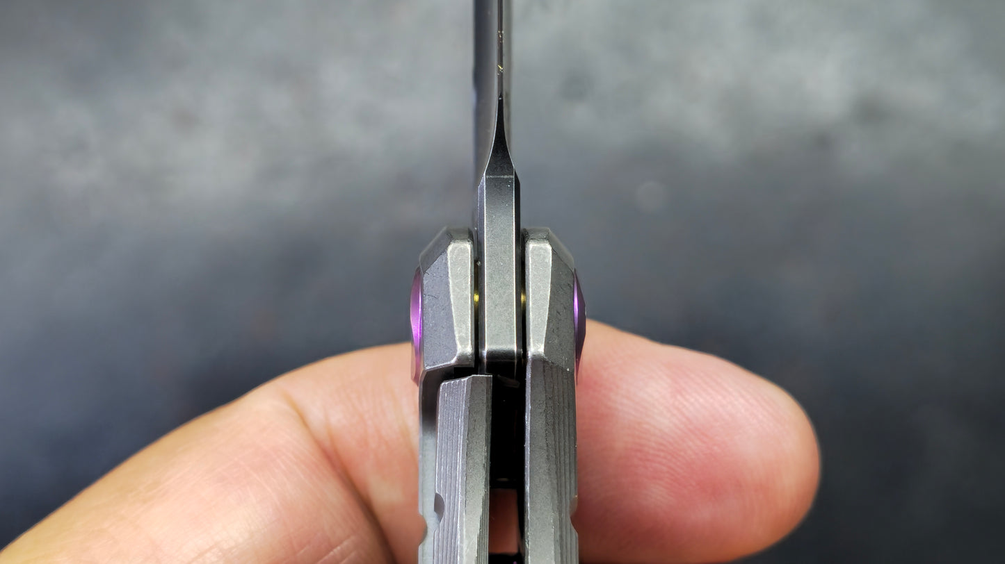 Poikilo Blade Gecko V2 Dark SW Titanium Handle M398 Blade