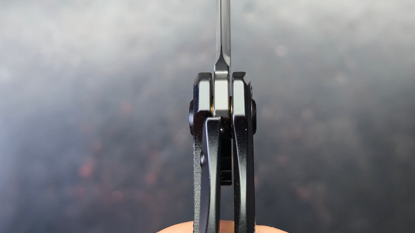 Bestech Mini Taipan Black Titanium Handle M-Cut Satin/Black DLC Blade