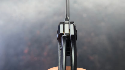 Bestech Mini Taipan Black Titanium Handle M-Cut Satin/Black DLC Blade