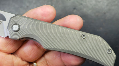 Bestech Mini Taipan Grey Titanium Handle M-Cut Blade
