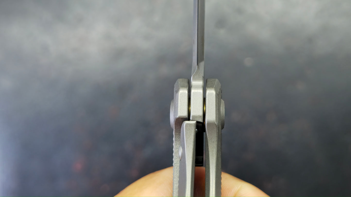 Bestech Mini Taipan Grey Titanium Handle M-Cut Blade