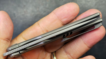 Bestech Mini Taipan Grey Titanium Handle M-Cut Blade