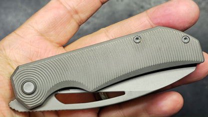 Bestech Mini Taipan Grey Titanium Handle M-Cut Blade