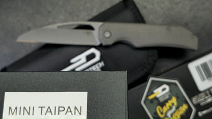 Bestech Mini Taipan Grey Titanium Handle M-Cut Blade