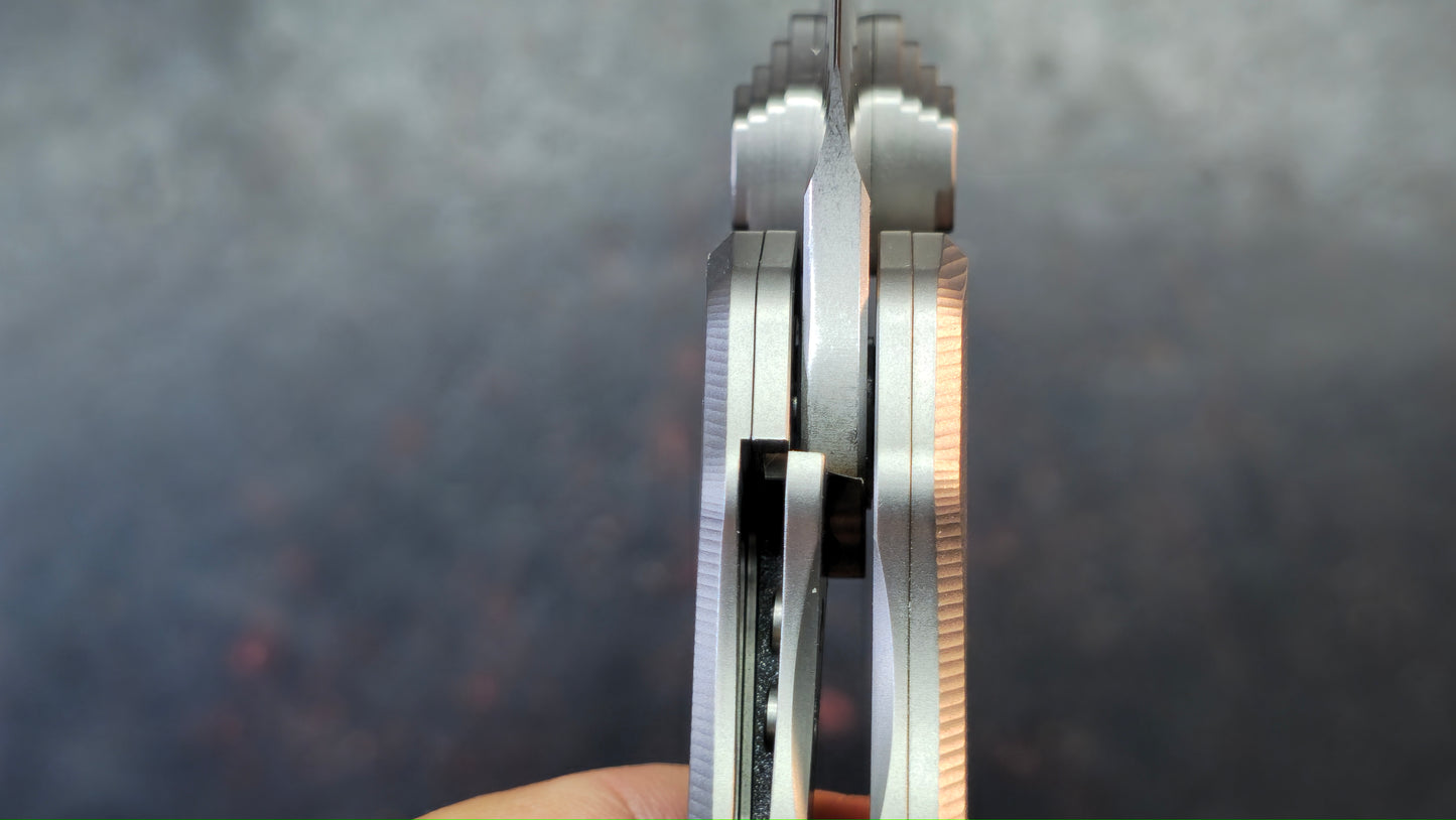 TWOSUN TS629 Titanium Handle D2 Blade
