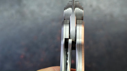 TWOSUN TS629 Titanium Handle D2 Blade