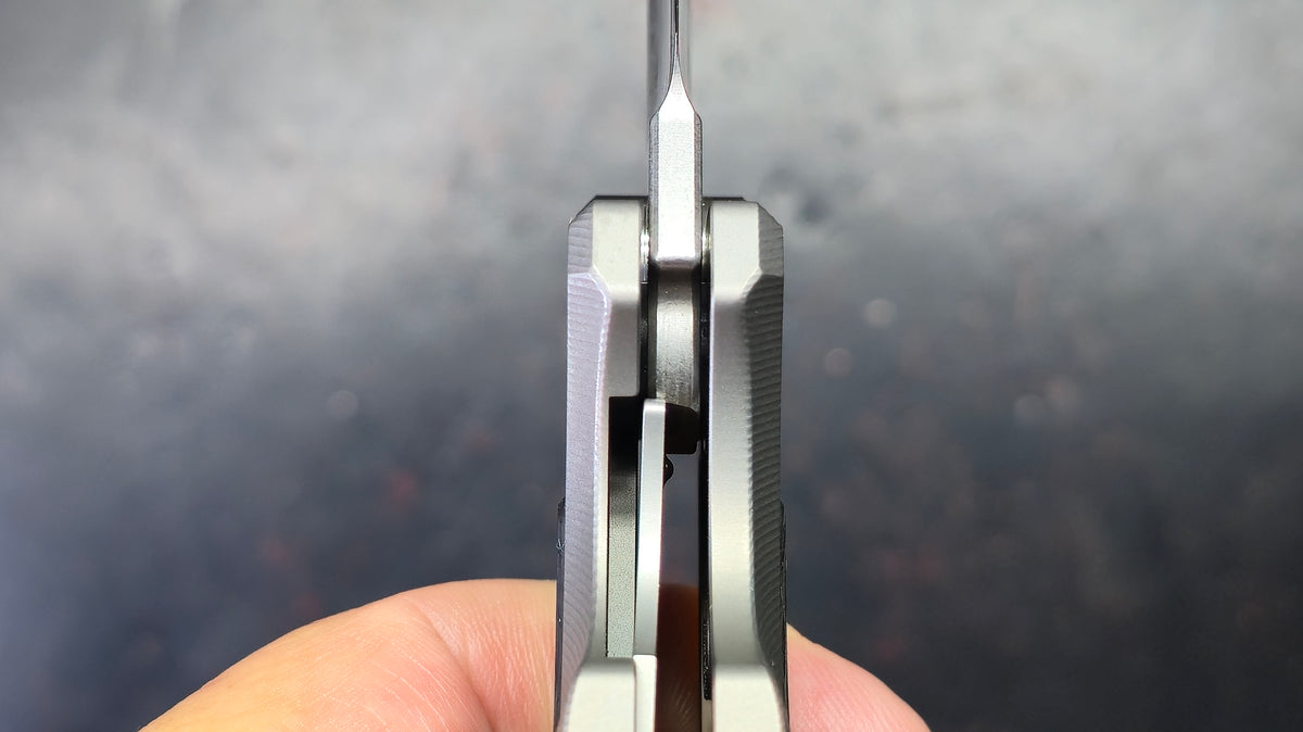 TwoSun TS596 Titanium Carbon Fiber Handle 14C28N Blade