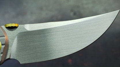 Kizer X-Series Szlachta Titanium Handle M390 Blade