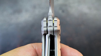 Kizer X-Series Szlachta Titanium Handle M390 Blade