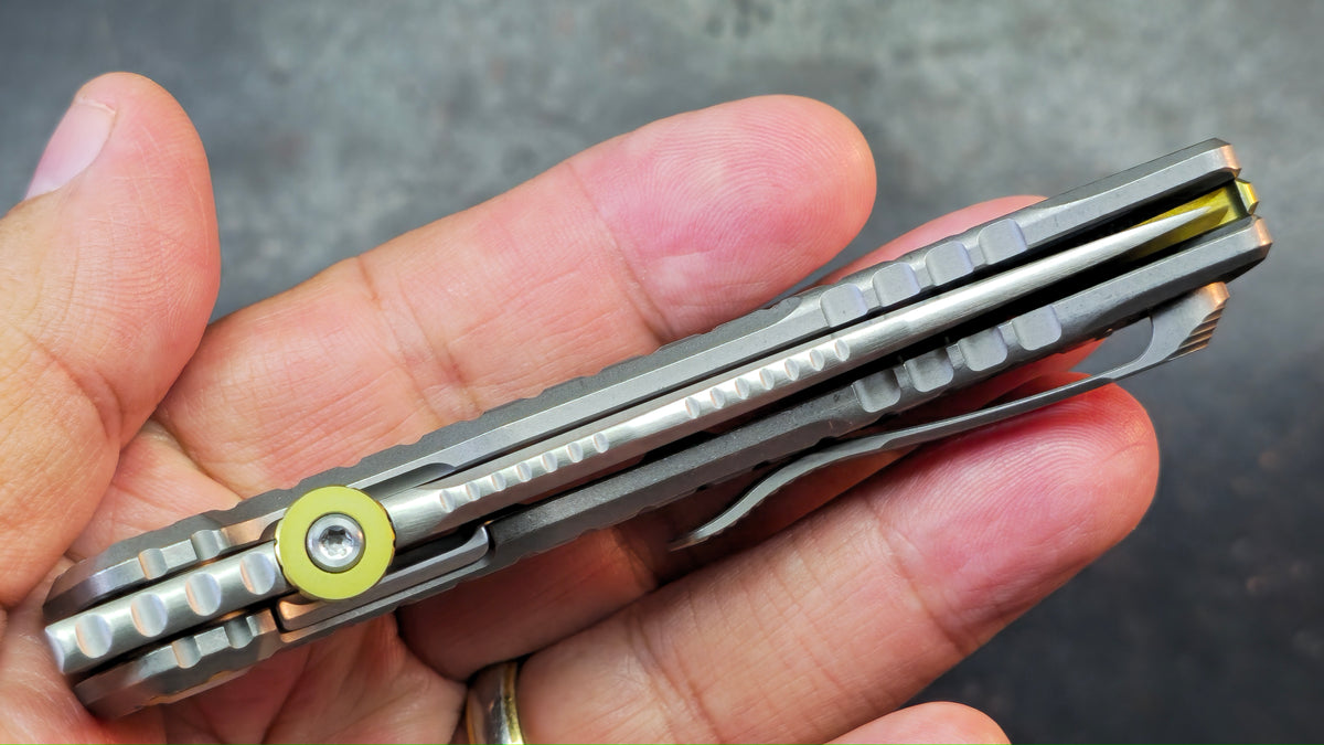 Kizer X-Series Szlachta Titanium Handle M390 Blade