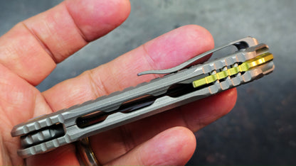 Kizer X-Series Szlachta Titanium Handle M390 Blade