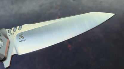 Twosun TS292 Titanium Handle 14C28N Blade