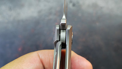 Twosun TS292 Titanium Handle 14C28N Blade