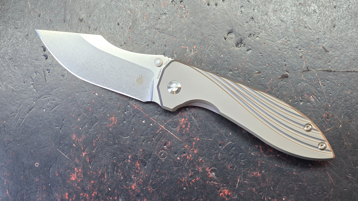 Kizer Pelican Mini Titanium Handle S35VN Blade