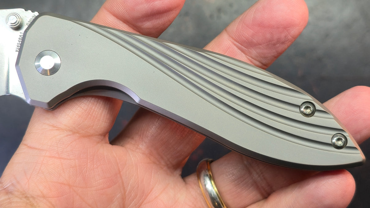 Kizer Pelican Mini Titanium Handle S35VN Blade
