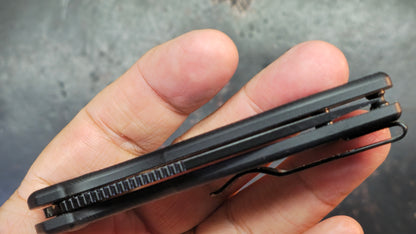 Kizer Amicus G10 Handle 9CR18MOV Blade