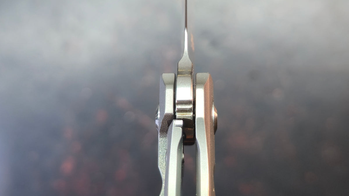 Kizer Noble Titanium Handle S35VN Blade